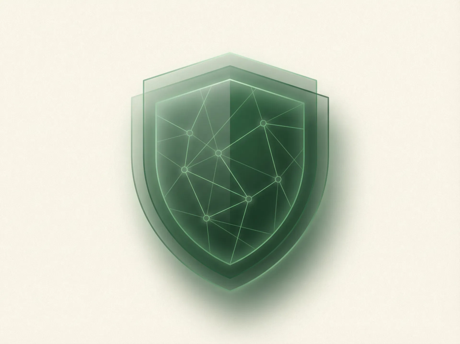 Privacy shield illustration