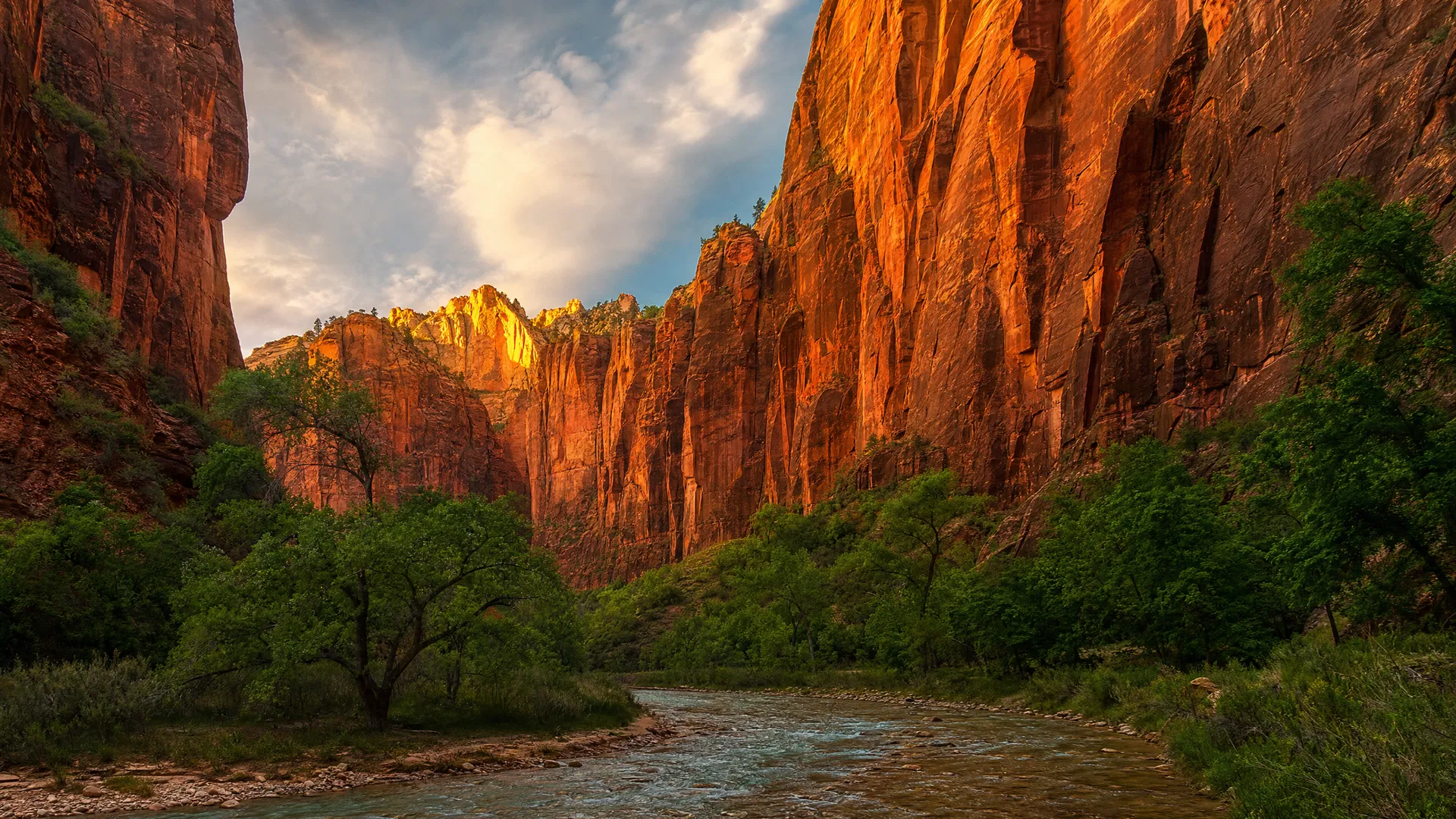 Zion National Park canyon