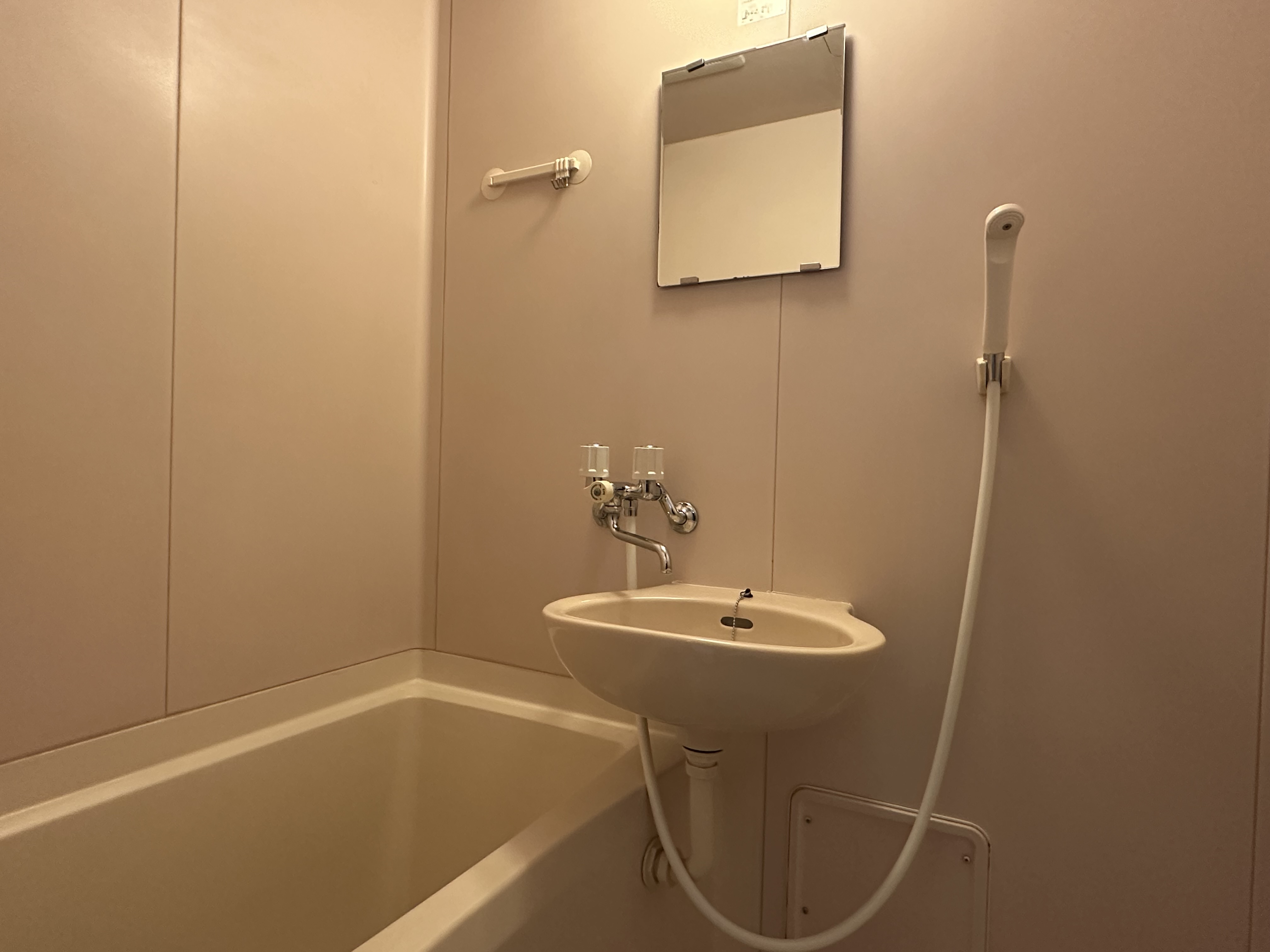 いちばんちマンスリー草津駅前大路２ 3