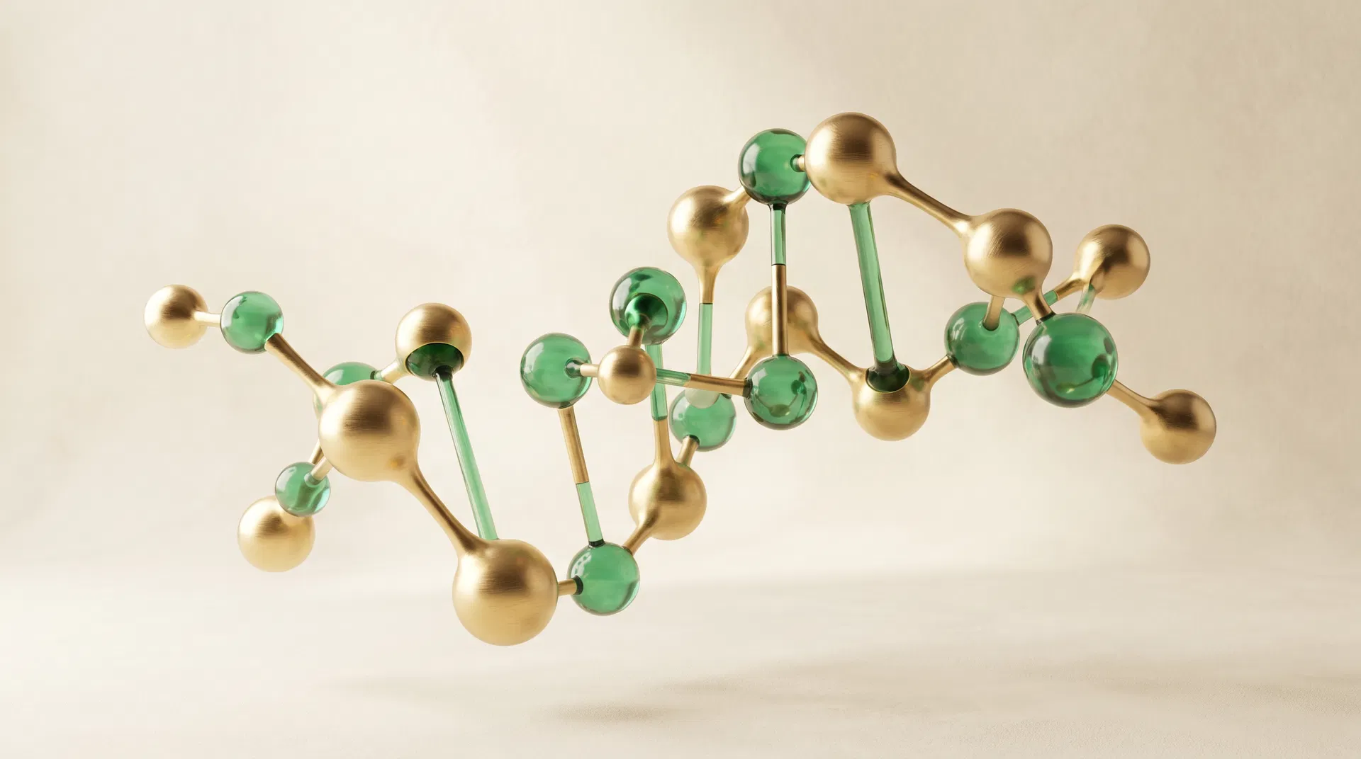What Are Peptides? A Plain-Language Guide for Beginners