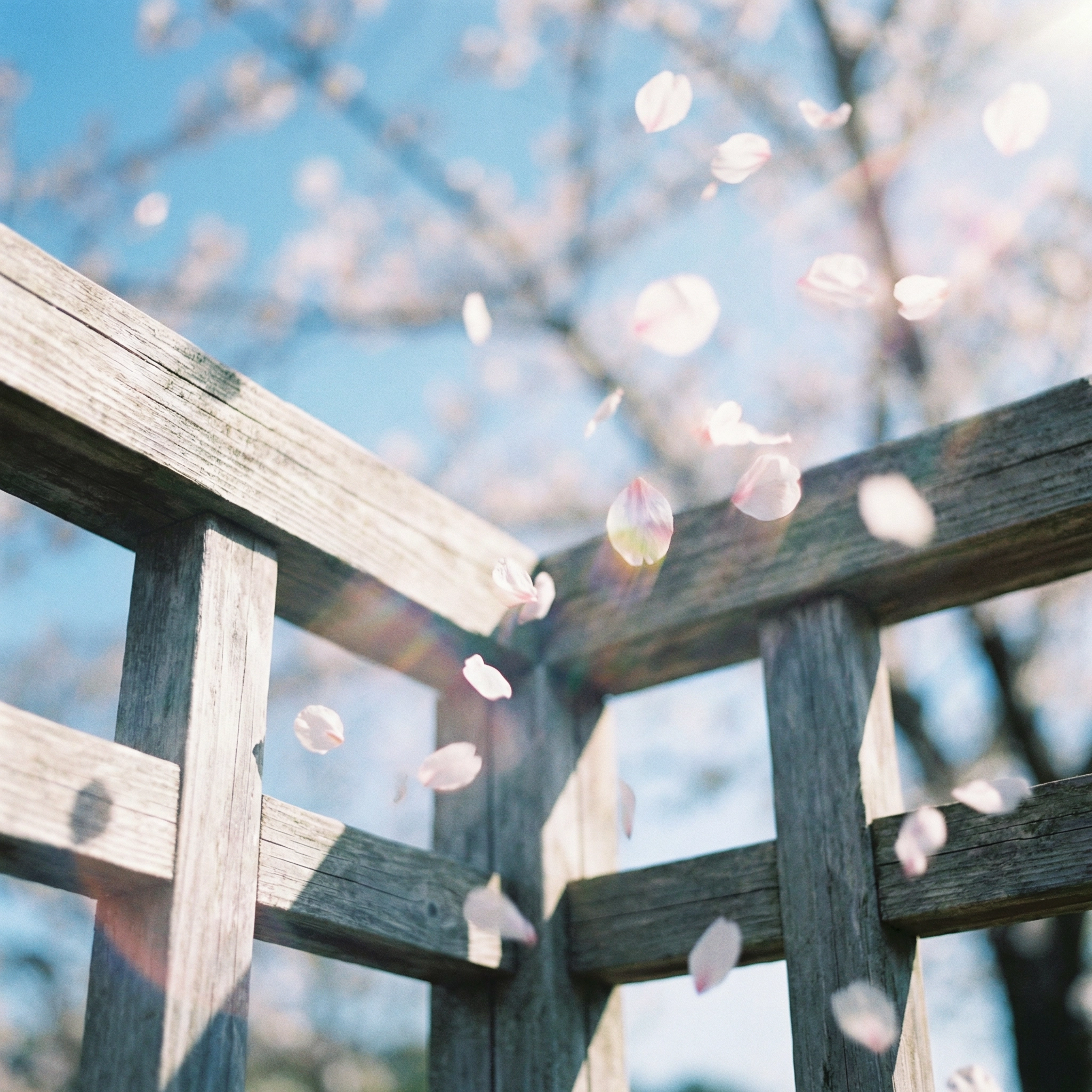 未完成のキセキ ジャケット