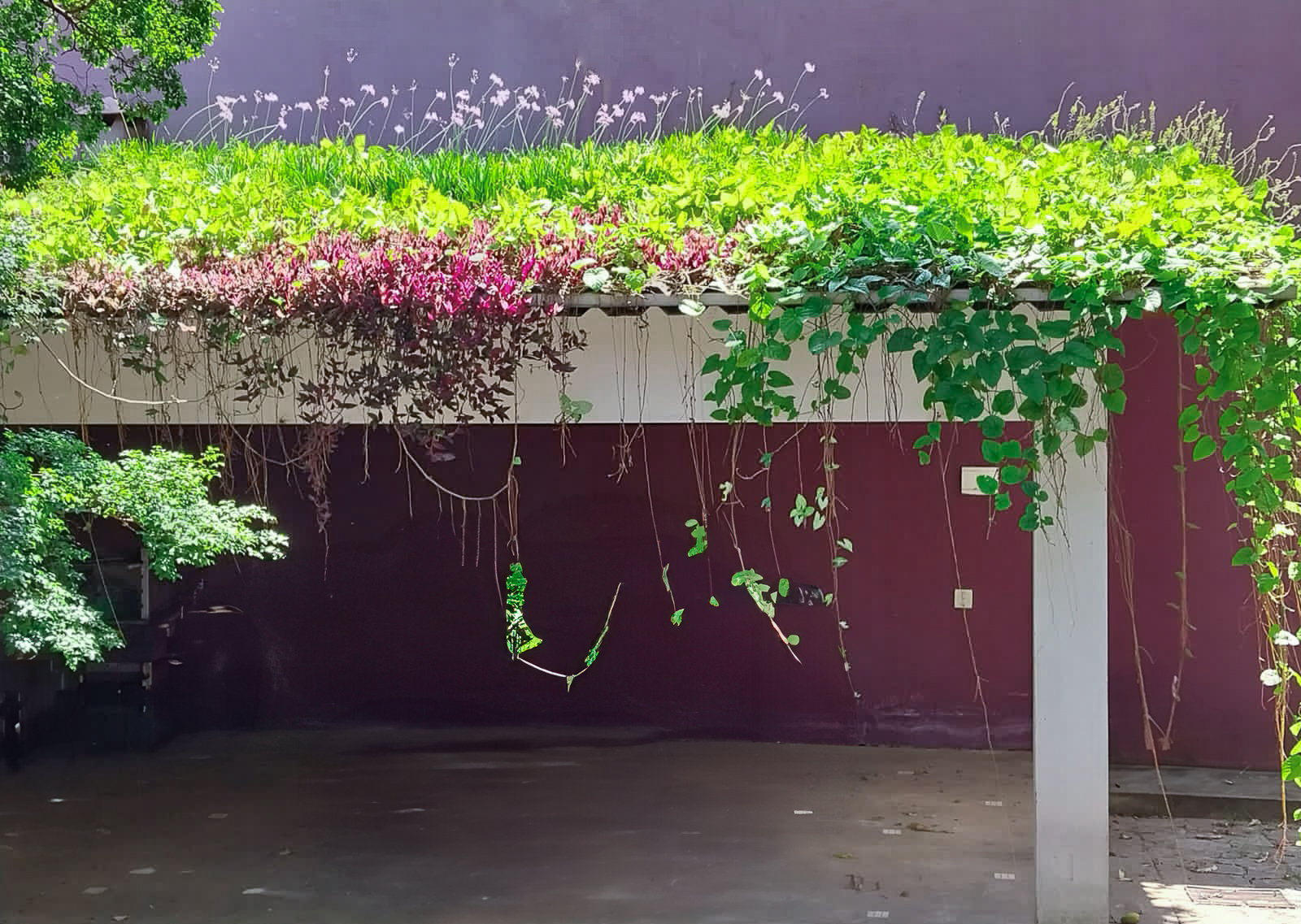 Kaatop Telha Plantável Trapezoidal - 2