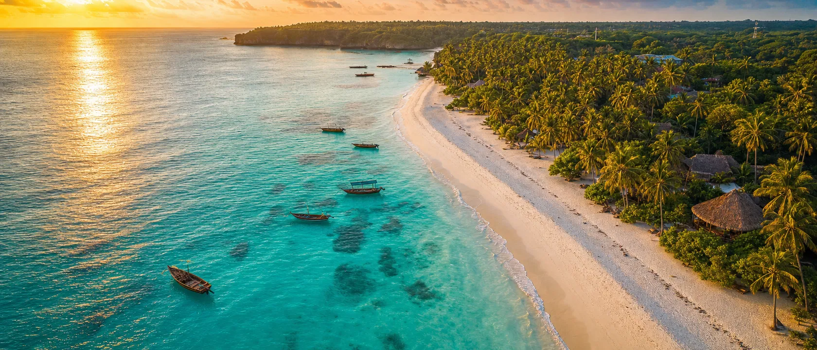 Tropical coastline aerial view