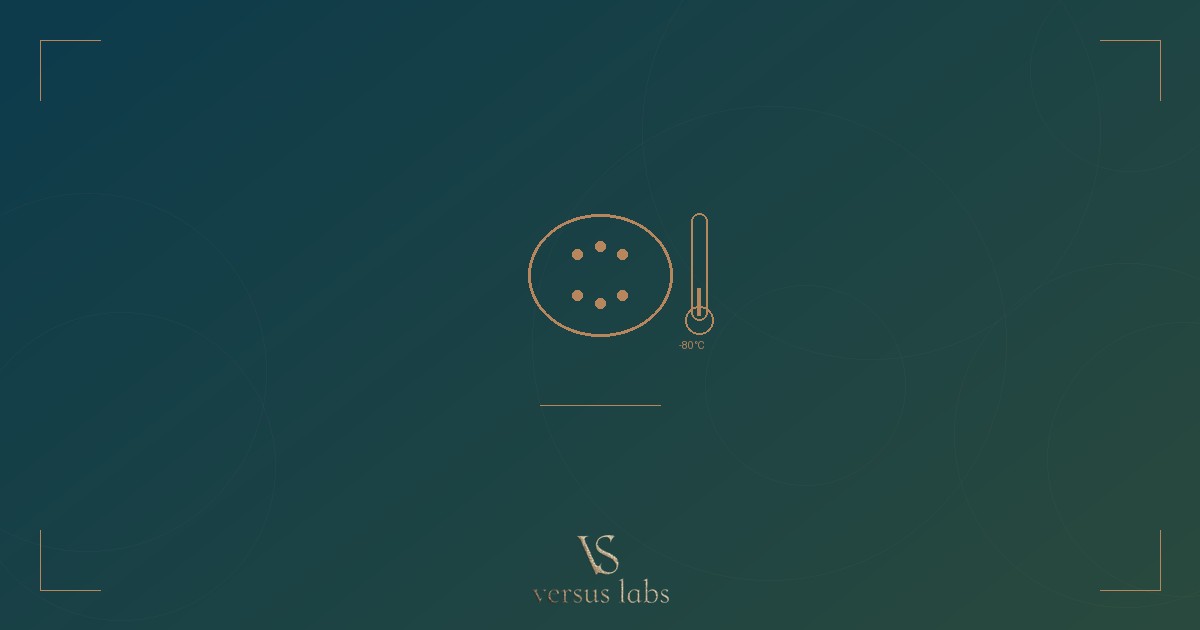 Exosome Stability Challenges in Cosmetic Formulations: A Scientific Perspective