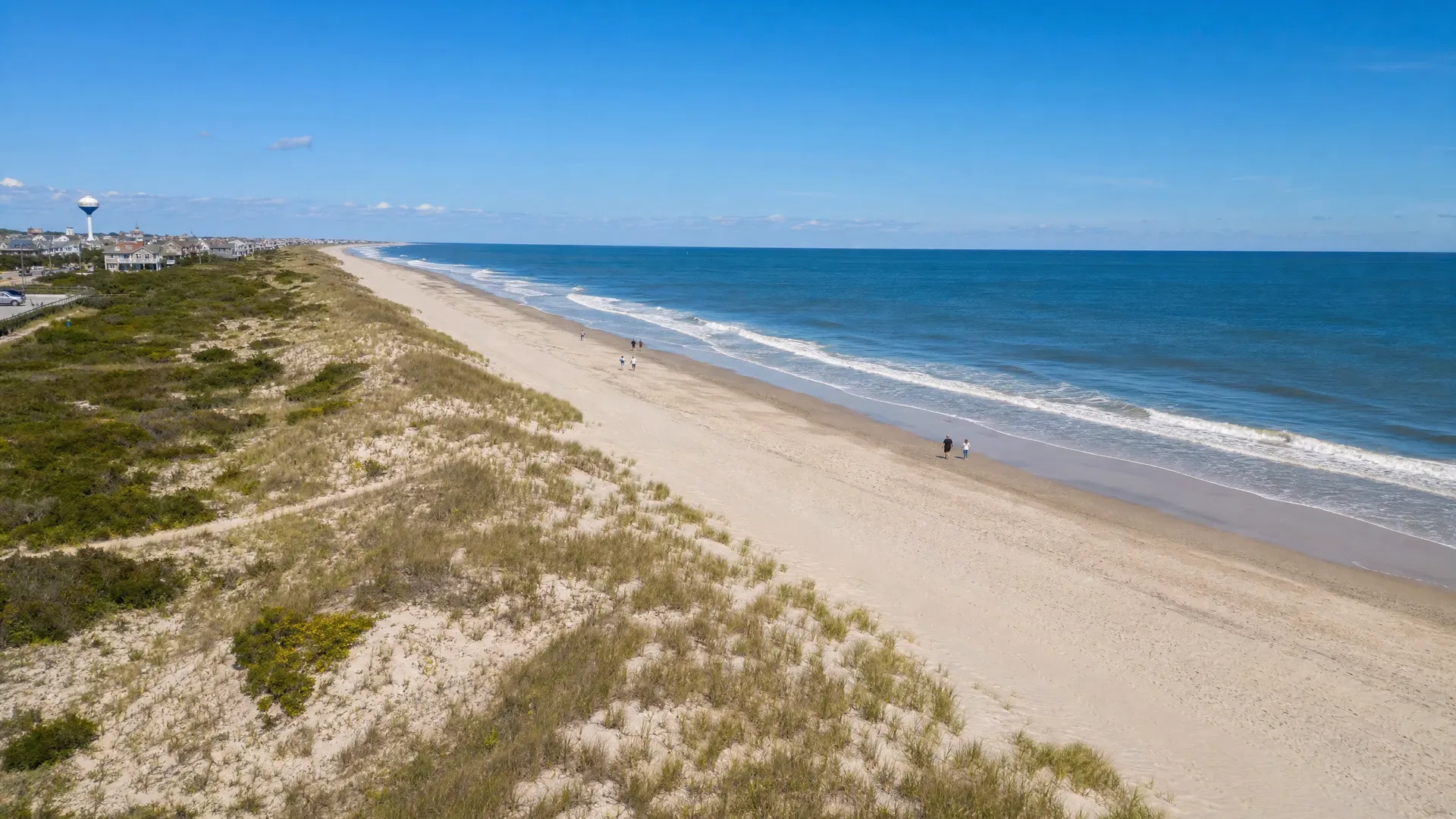 Aerial view of a pristine, uncrowded Cape May beach with gentle waves and natural dune vegetation