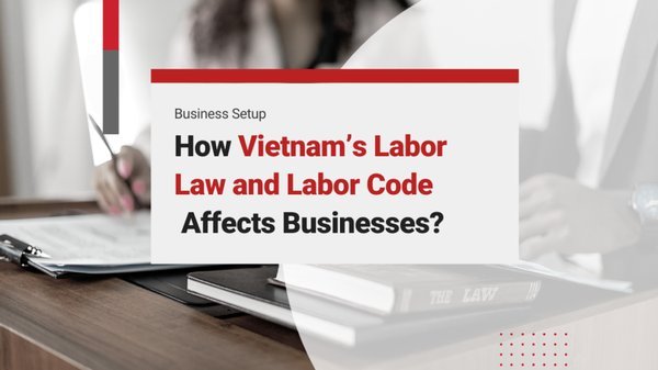 【2026年版】ベトナム労働法・雇用ガイド：採用から解雇までの実務ポイント