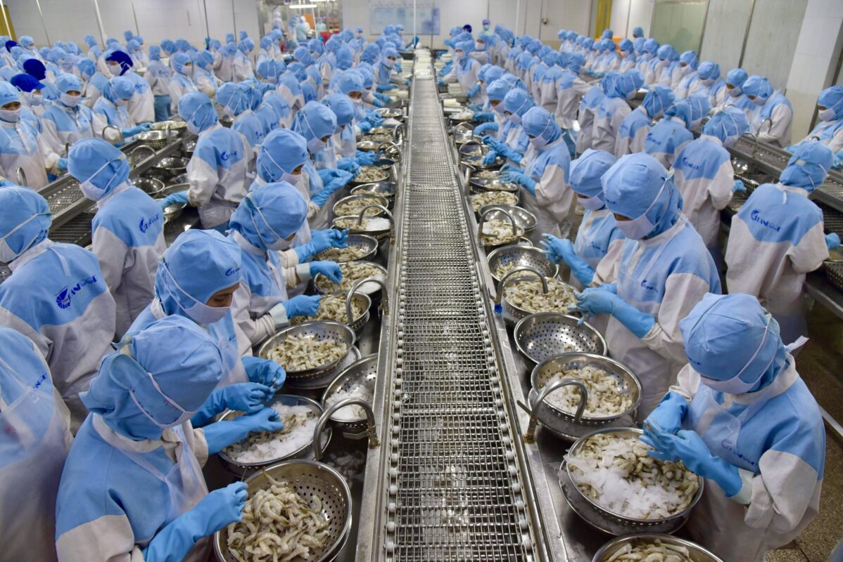 食品安全不安を越えて品質競争へ、ベトナム飲食・食品業界で進む「信頼の再設計」